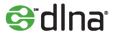 מאמר וידאו – DLNA (הרצאה של עפר לאור)