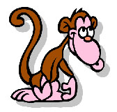 קוף אחרי בנאדם – Monkey Audio