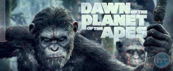 ביקורת: סרט לסופשבוע-כוכב הקופים: השחר (Dawn of the Planet of the Apes)