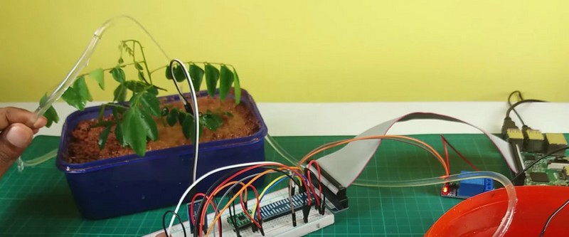10 שימושים מגניבים ל- Raspberry Pi שלכם